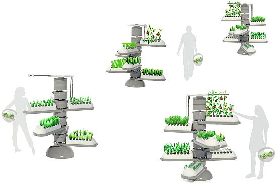 Aeroponic System