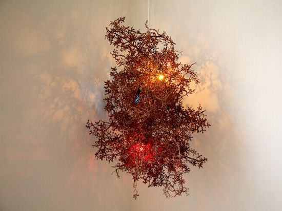 Dry grape twigs converted into an enticing lamp - Promoting Eco ...
