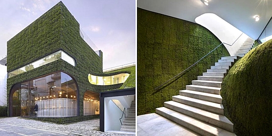 a truly green house with living walls