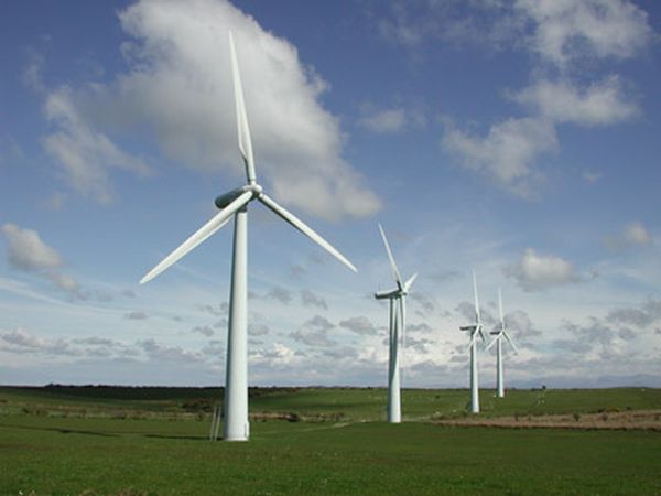 A bio-inspired approach to enhancing wind power conversion