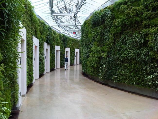A corridor lined with green walls