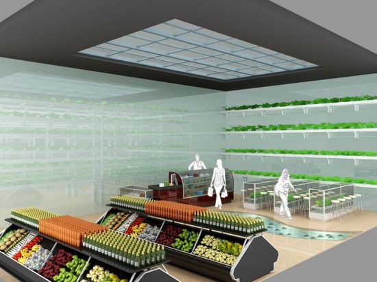 agropolis grocery store concept