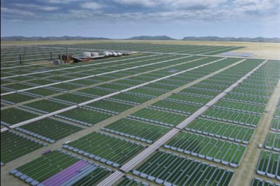 algae facility