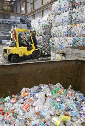 another ghory pic of how humans are just not bothe