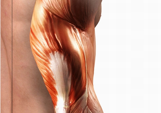 artificial muscles