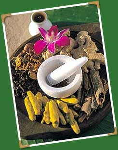 ayurveda ayurveda