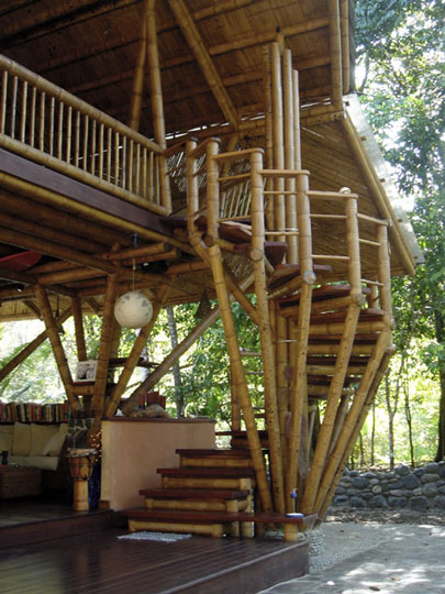 bamboo staircase