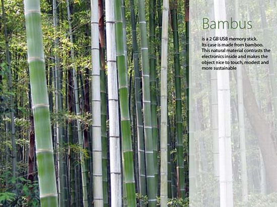 bambus 3