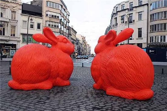 big rabbits4