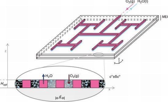 bio inspired design for pem fuel cells 1