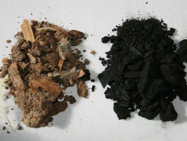 Biochar Can Capture Carbon and Improve Soil