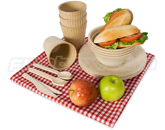 biodegradable picnic ware 5784