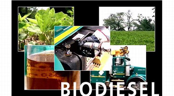 Biodiesel