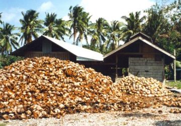 biomass residue 9