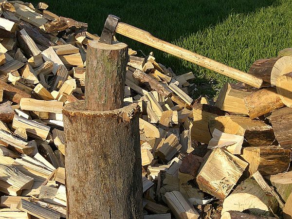 Biomass