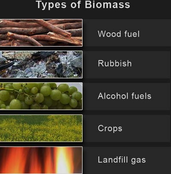 Biomass