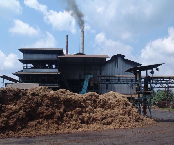 Biomass power plant