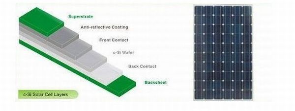 BioSolar Backsheet Solar Panels