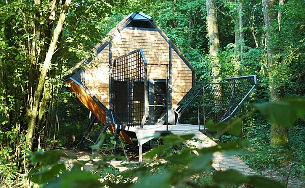 Bizarro Forest Cabin