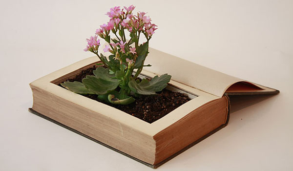 Book Planter