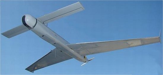 boomerang 1