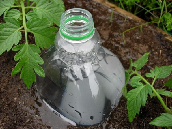 Bottle Drip Irrigation