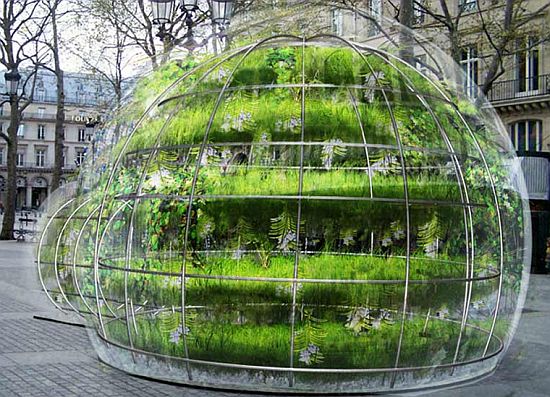 bubble garden 1