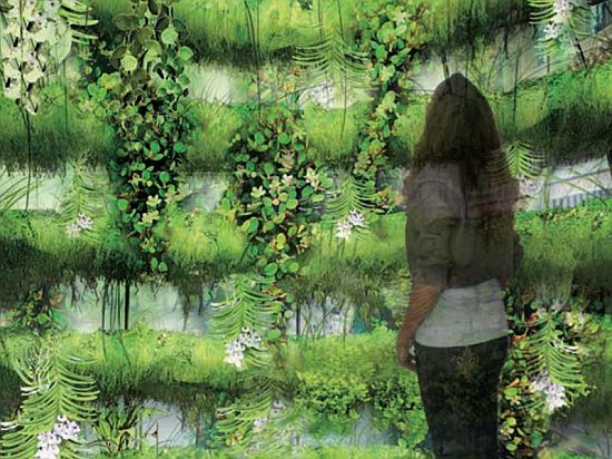 bubble garden 2