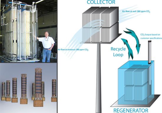 carbon emissions absorption plant