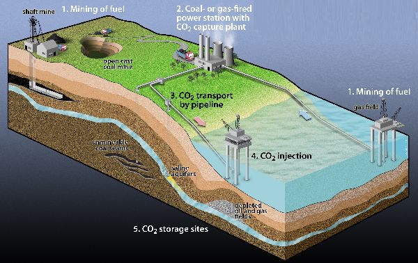 Carbon sequestration