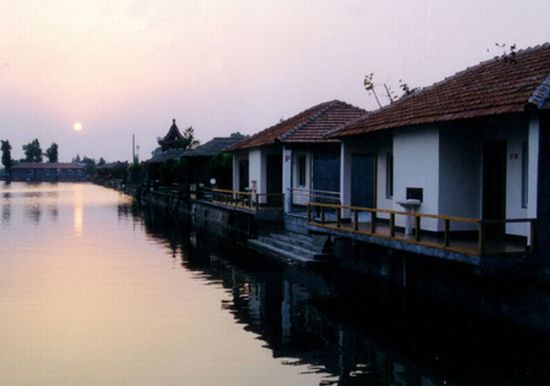 chongming island