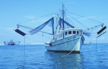 commonly used shrimp trawler nets