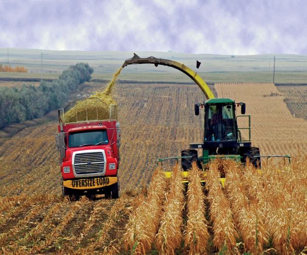 Corn for fuel Vs corn for food