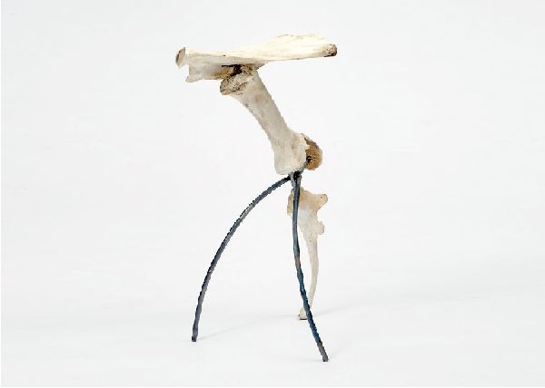 Cow bone stool