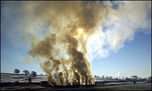 cremation smoke 3858