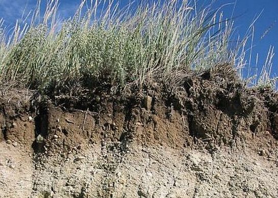 designing green dirt