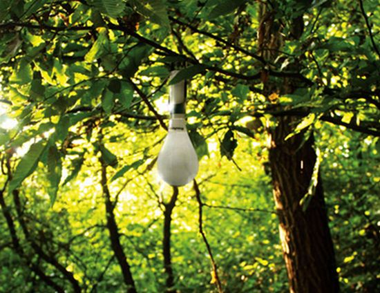 dewlighting concept water and light producer 1