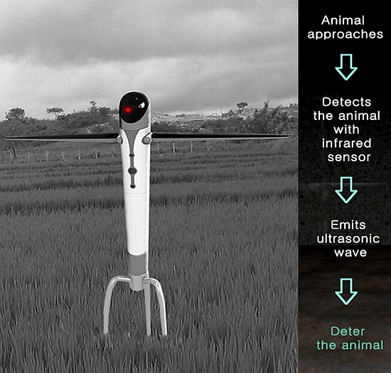digital scarecrow