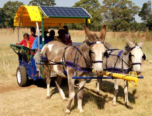 donkey pulled fuv