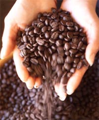 drink coffee in the organic way