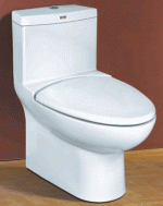 dual flush toilet