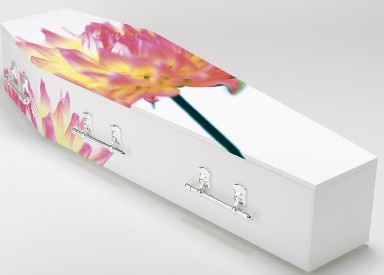 eco coffin2 2112