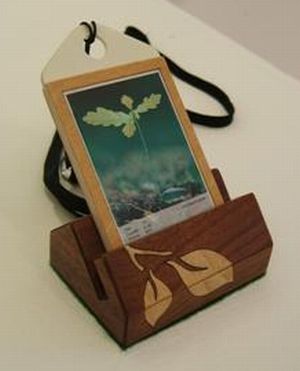 eco friendly cell phone