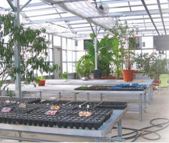 eco gym