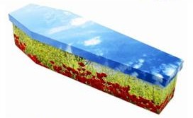 ecocoffin