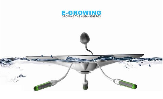 egrowing1 dxgUx 69