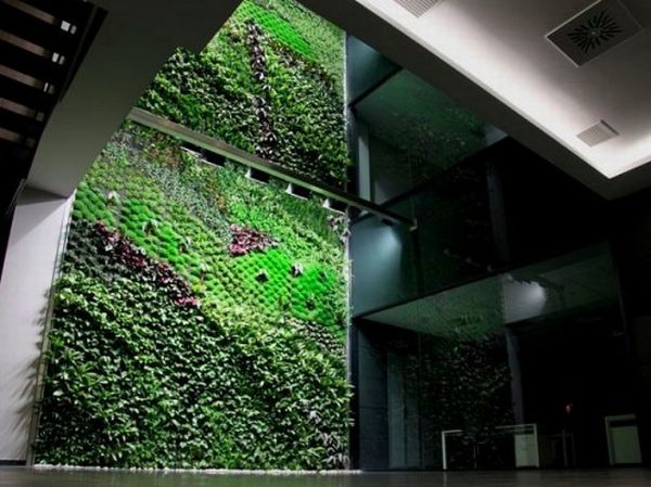 elche indoor vertical garden 1 537x402