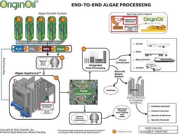 End to End Algae Processing