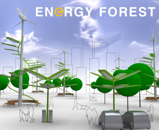 energy forest 1