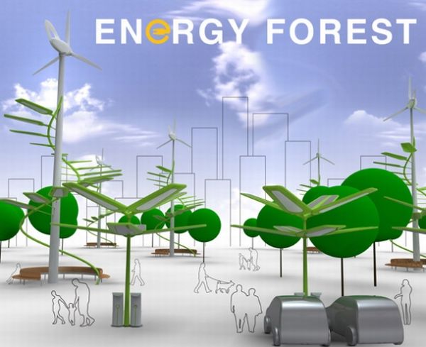 Energy Forest